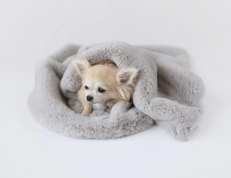 Divine Plus Dog Blanket