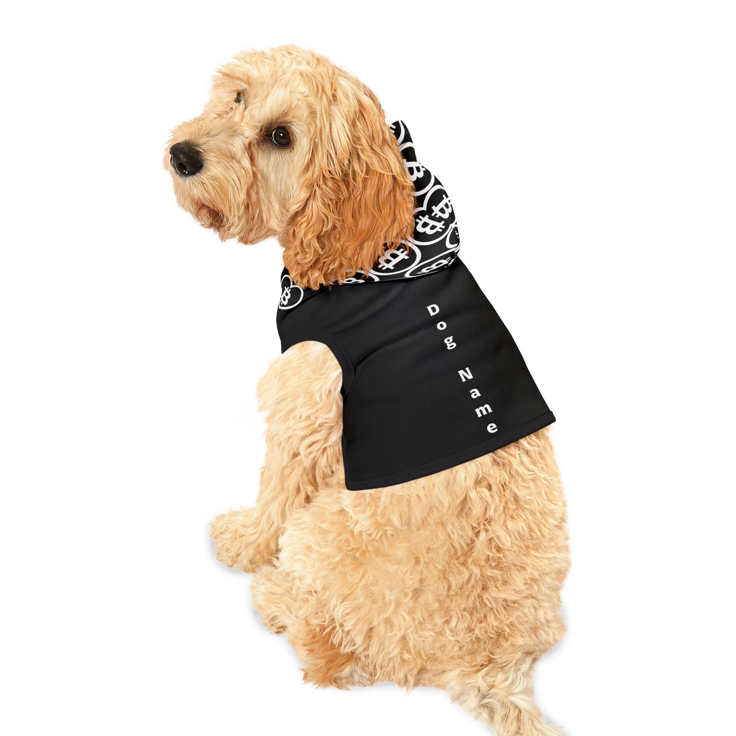 Pet Hoodie
