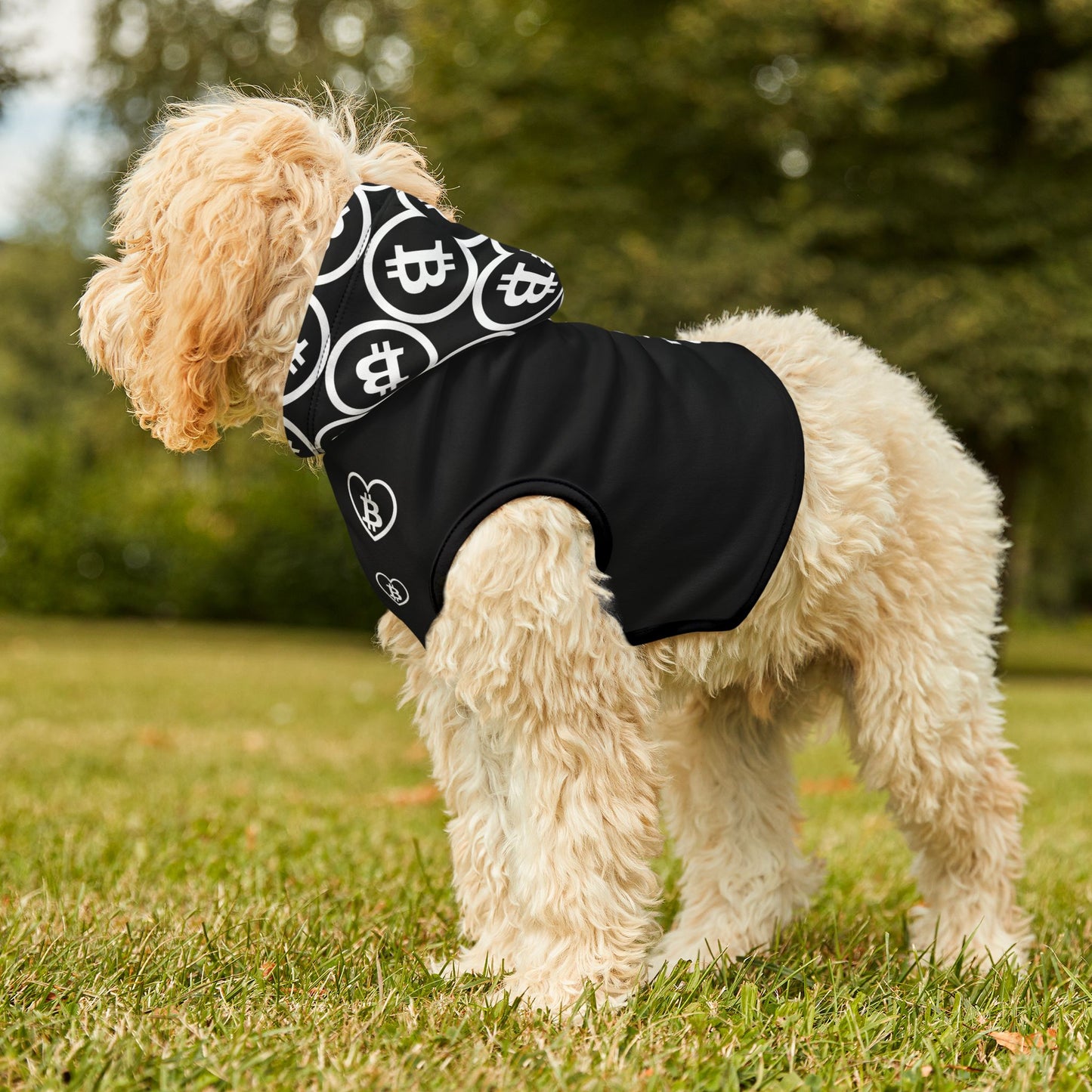 Pet Hoodie
