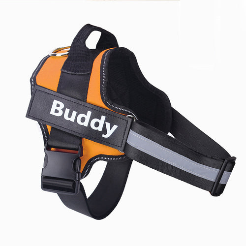 Personalized Dog Harness NO PULL Reflective Breathable Adjustable & Leash Set