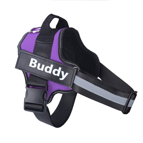 Personalized Dog Harness NO PULL Reflective Breathable Adjustable & Leash Set