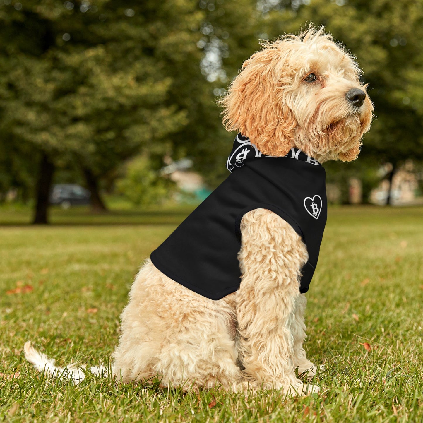 Pet Hoodie
