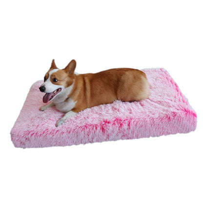 Cama ortopédica calmante lavable para perros