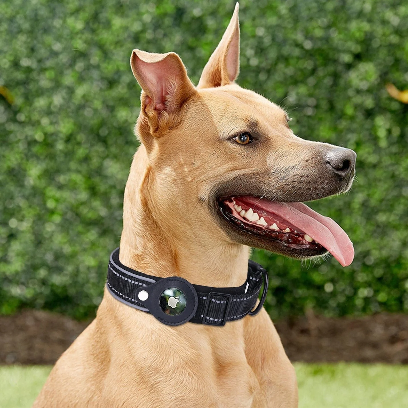 Dispositivo antipérdida AirTag 2 en 1 y collar impermeable para perros