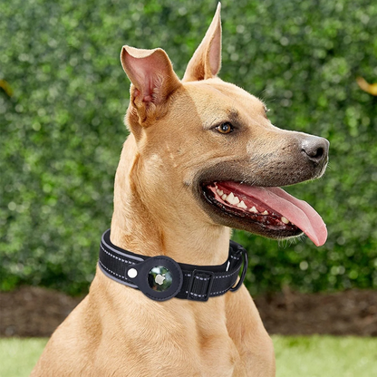 Dispositivo antipérdida AirTag 2 en 1 y collar impermeable para perros