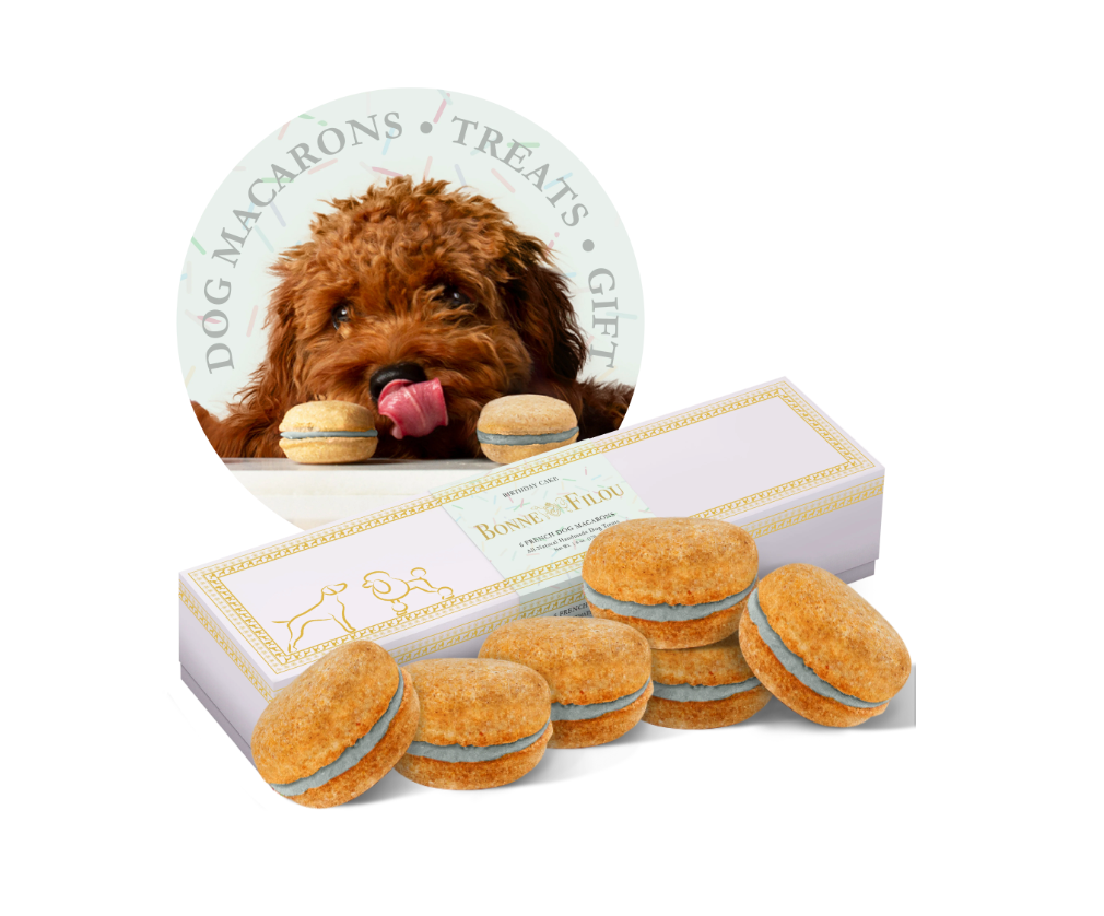狗马卡龙（12 种口味）Bonne et Filou