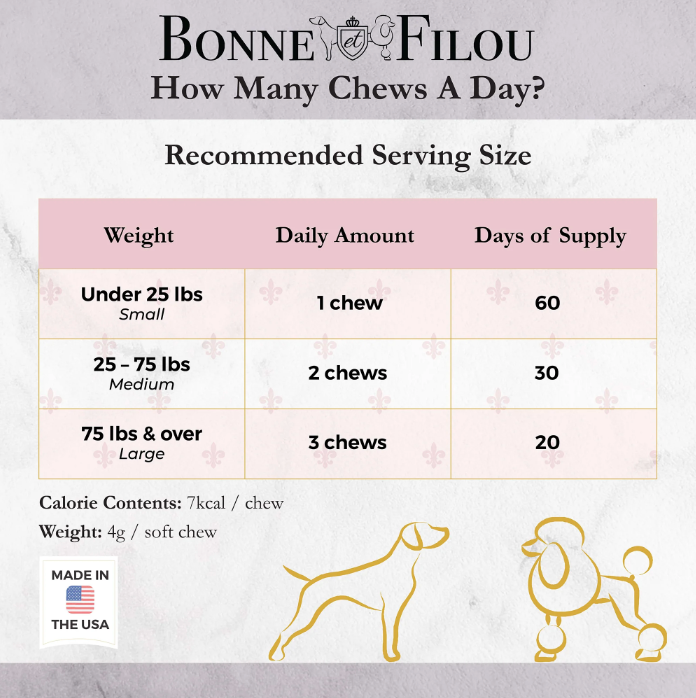 狗马卡龙（12 种口味）Bonne et Filou