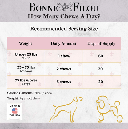 狗马卡龙（12 种口味）Bonne et Filou