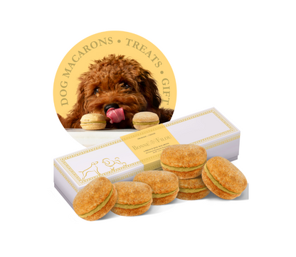 狗马卡龙（12 种口味）Bonne et Filou