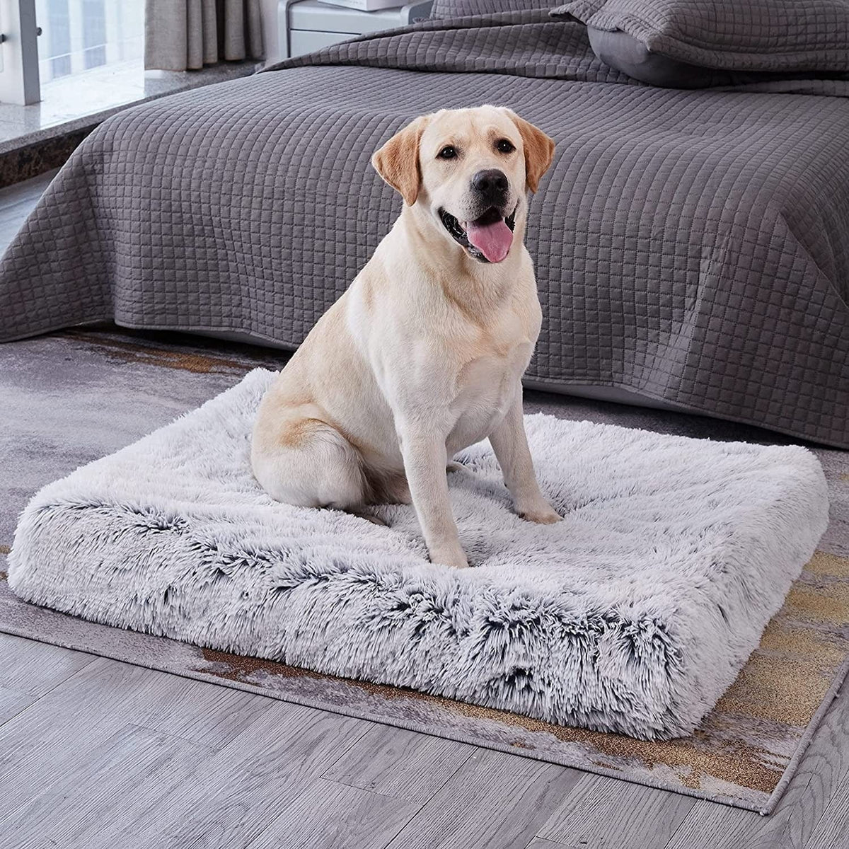 Cama ortopédica calmante lavable para perros
