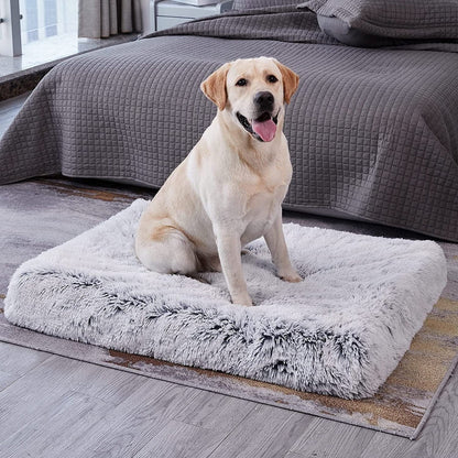 Cama ortopédica calmante lavable para perros