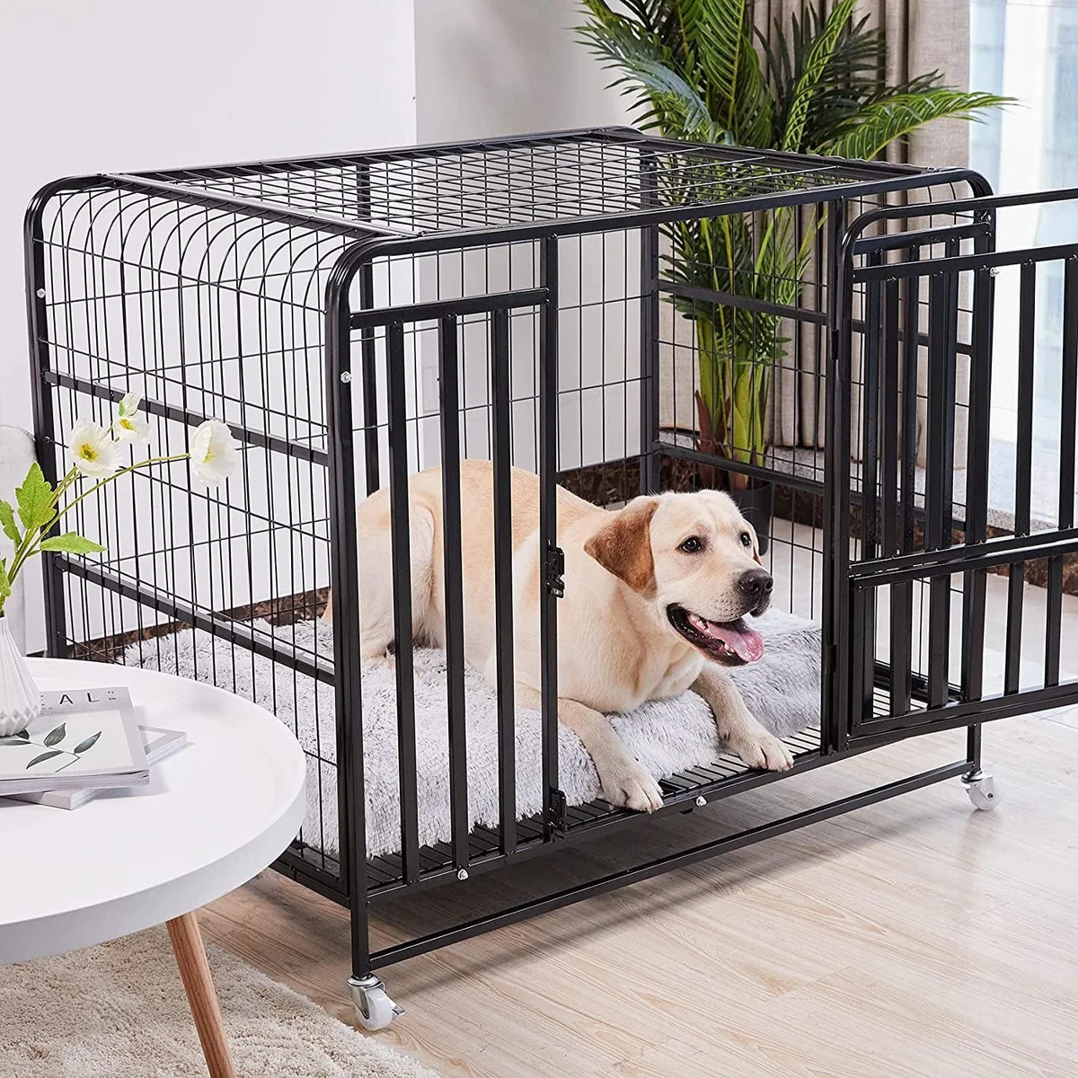 Cama ortopédica calmante lavable para perros