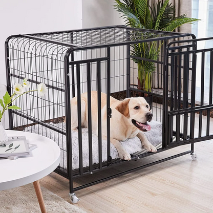 Cama ortopédica calmante lavable para perros