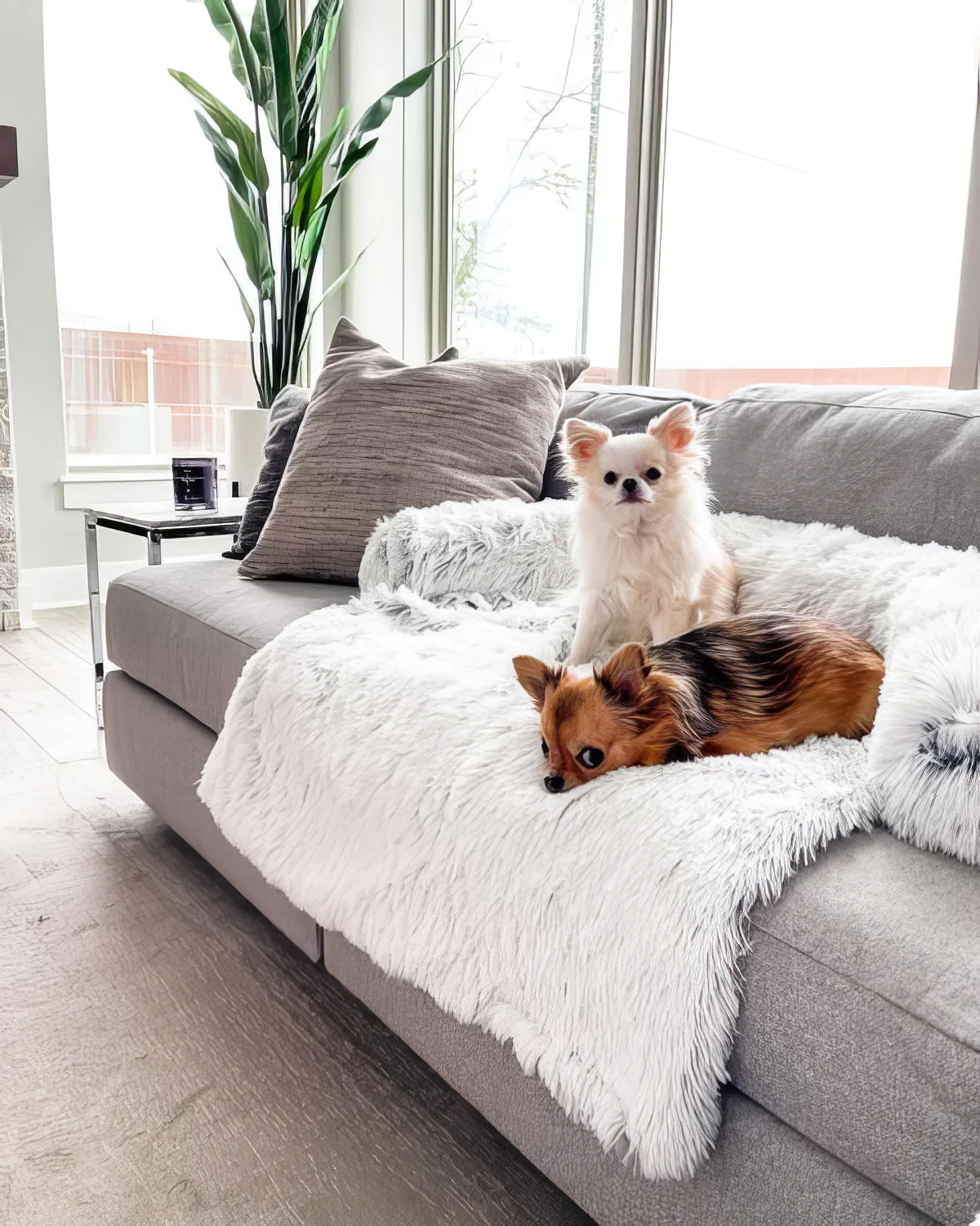 Sofá cama de felpa ultra relajante para perros