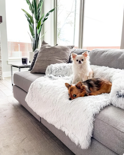 Sofá cama de felpa ultra relajante para perros