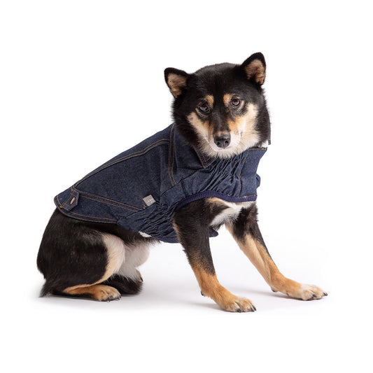 Denim Dog Jacket