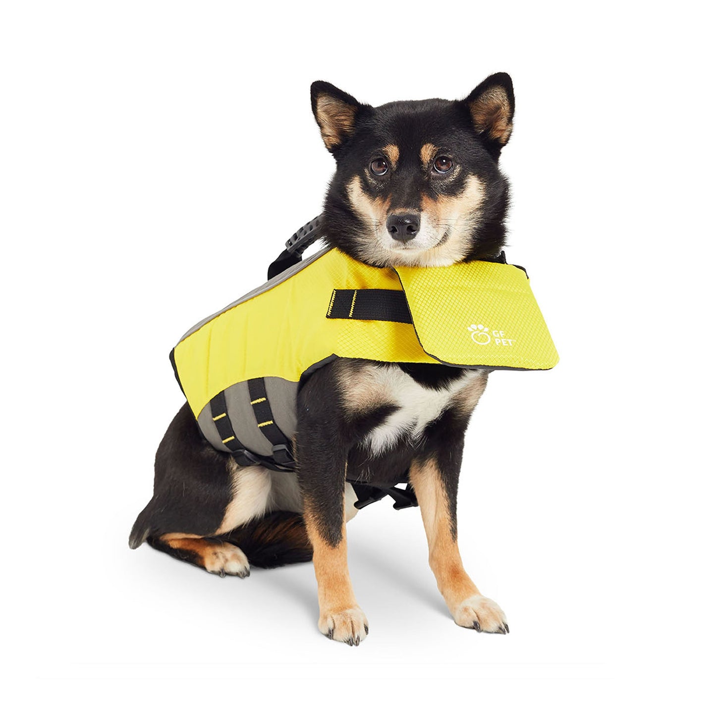 Chaleco salvavidas amarillo para perros 