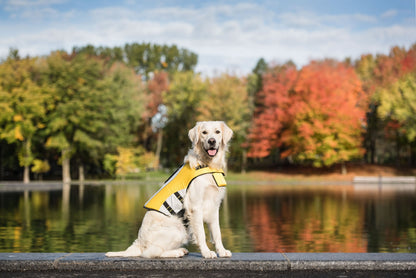 Chaleco salvavidas amarillo para perros 