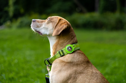 Dispositivo antipérdida AirTag 2 en 1 y collar impermeable para perros