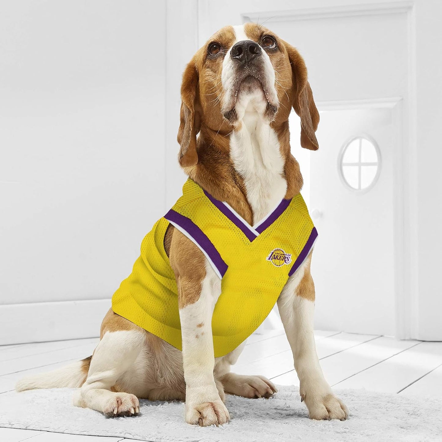 Los Angeles Lakers Basketball Mesh Dog Jersey