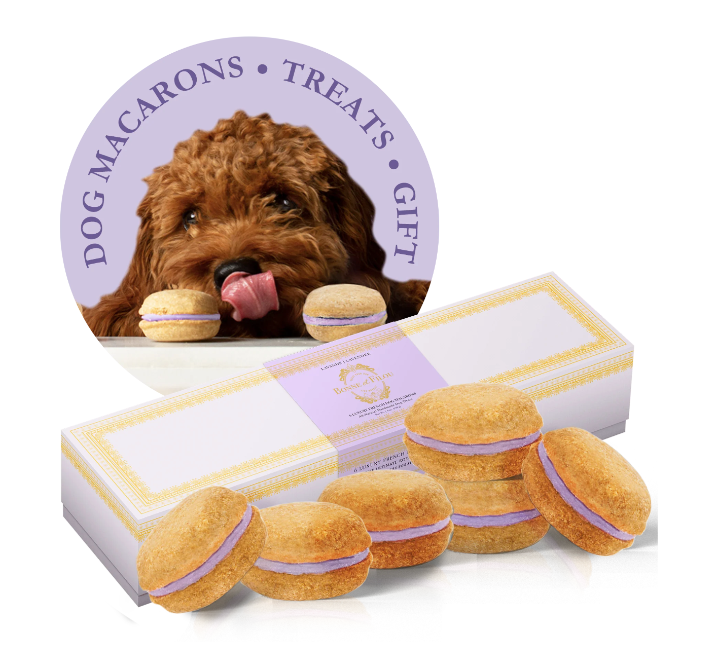 狗马卡龙（12 种口味）Bonne et Filou