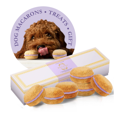 狗马卡龙（12 种口味）Bonne et Filou