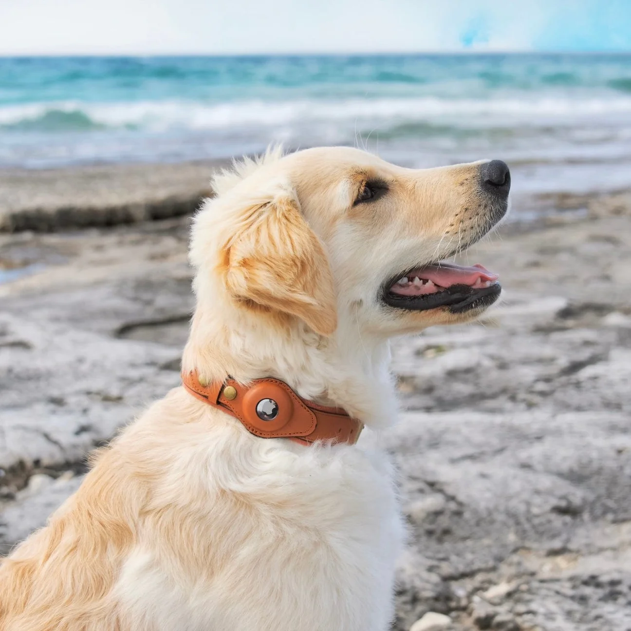 Collar para perros AirTag de cuero genuino premium, impermeable y exclusivo
