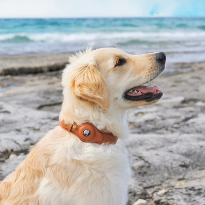Collar para perros AirTag de cuero genuino premium, impermeable y exclusivo