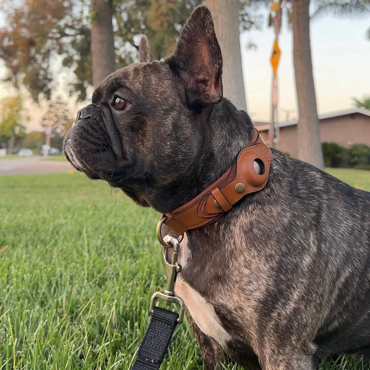 Collar para perros AirTag de cuero genuino premium, impermeable y exclusivo