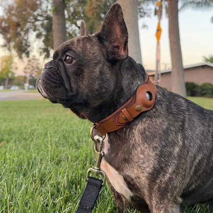 Collar para perros AirTag de cuero genuino premium, impermeable y exclusivo