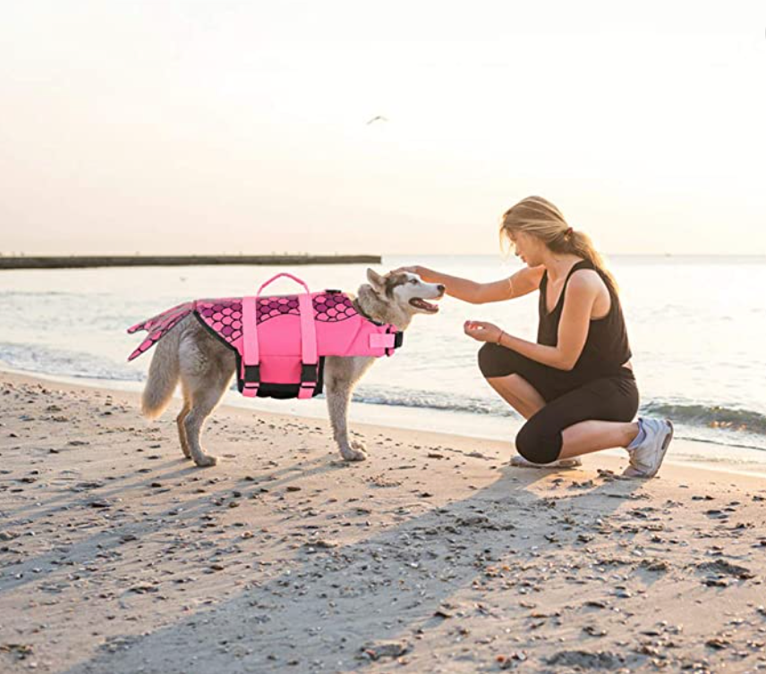 Chaleco salvavidas y traje de baño de seguridad para perros de sirena