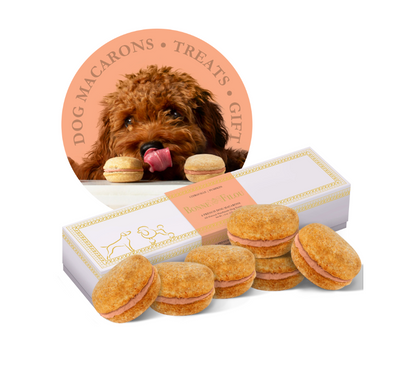 狗马卡龙（12 种口味）Bonne et Filou