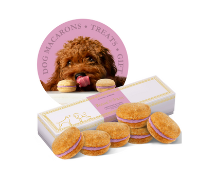 狗马卡龙（12 种口味）Bonne et Filou