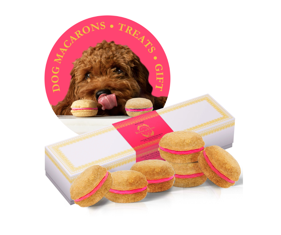 狗马卡龙（12 种口味）Bonne et Filou