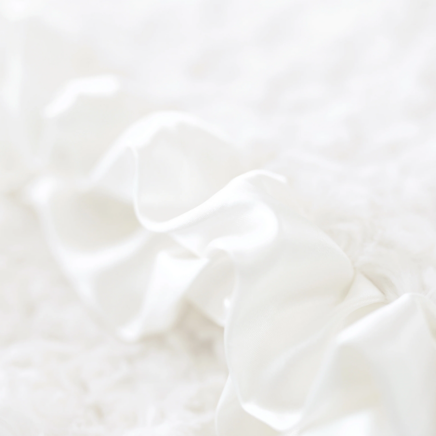 Ruffle Baby Dog Blanket