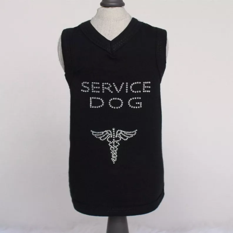 Recogida de perros de servicio
