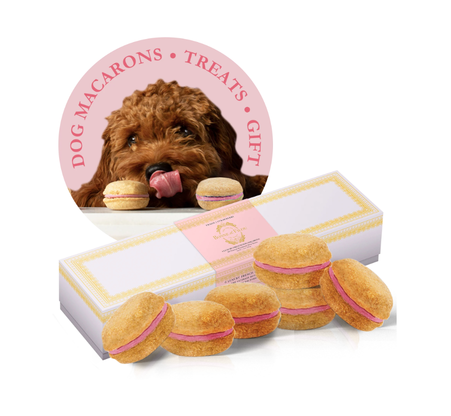 狗马卡龙（12 种口味）Bonne et Filou
