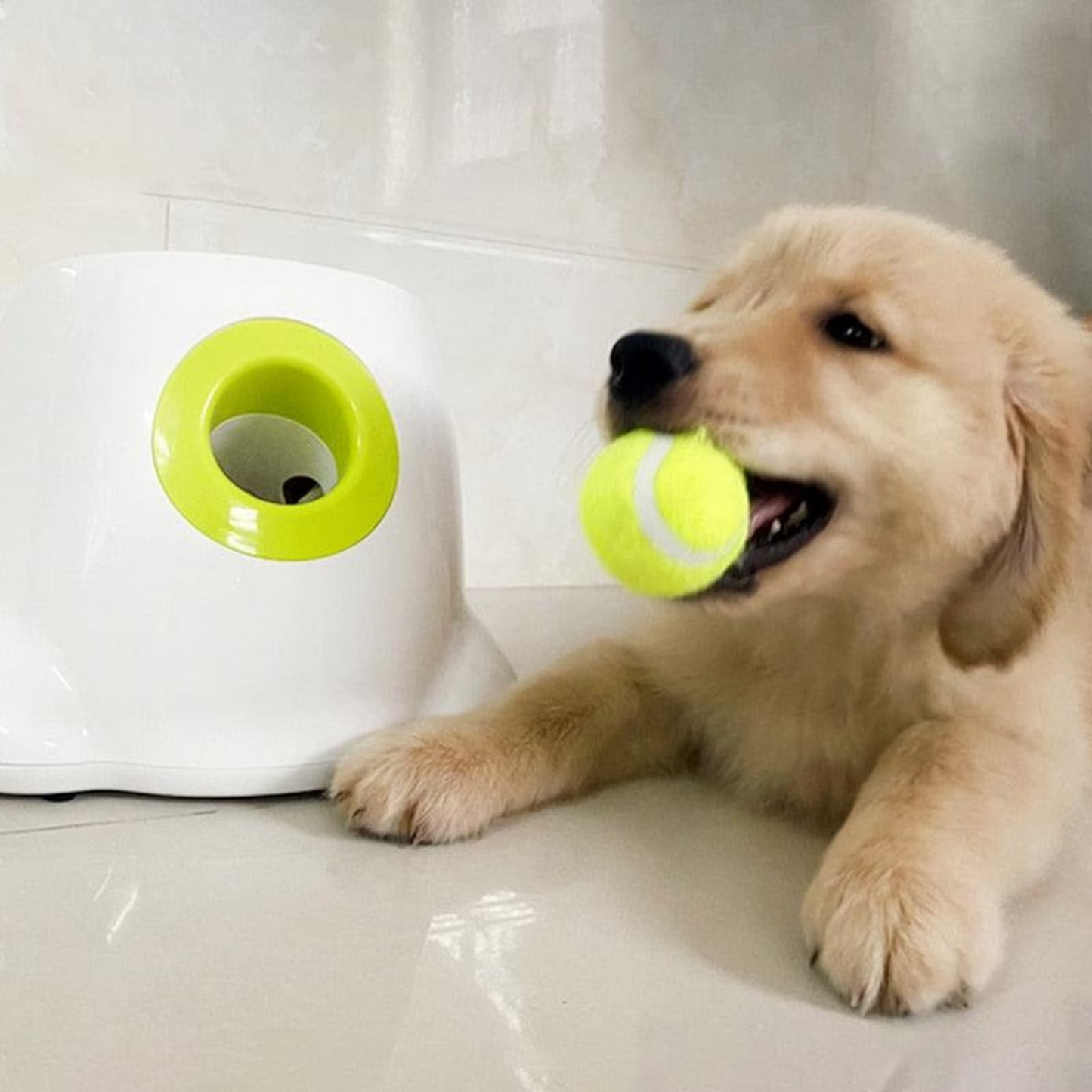 Juguete interactivo para perros lanzador de pelotas de tenis