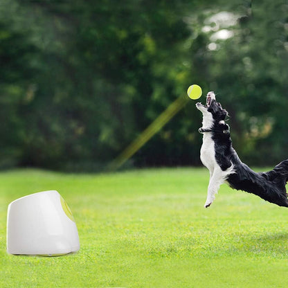 Juguete interactivo para perros lanzador de pelotas de tenis