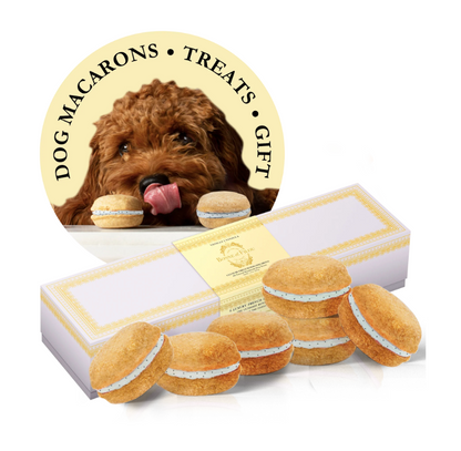 狗马卡龙（12 种口味）Bonne et Filou