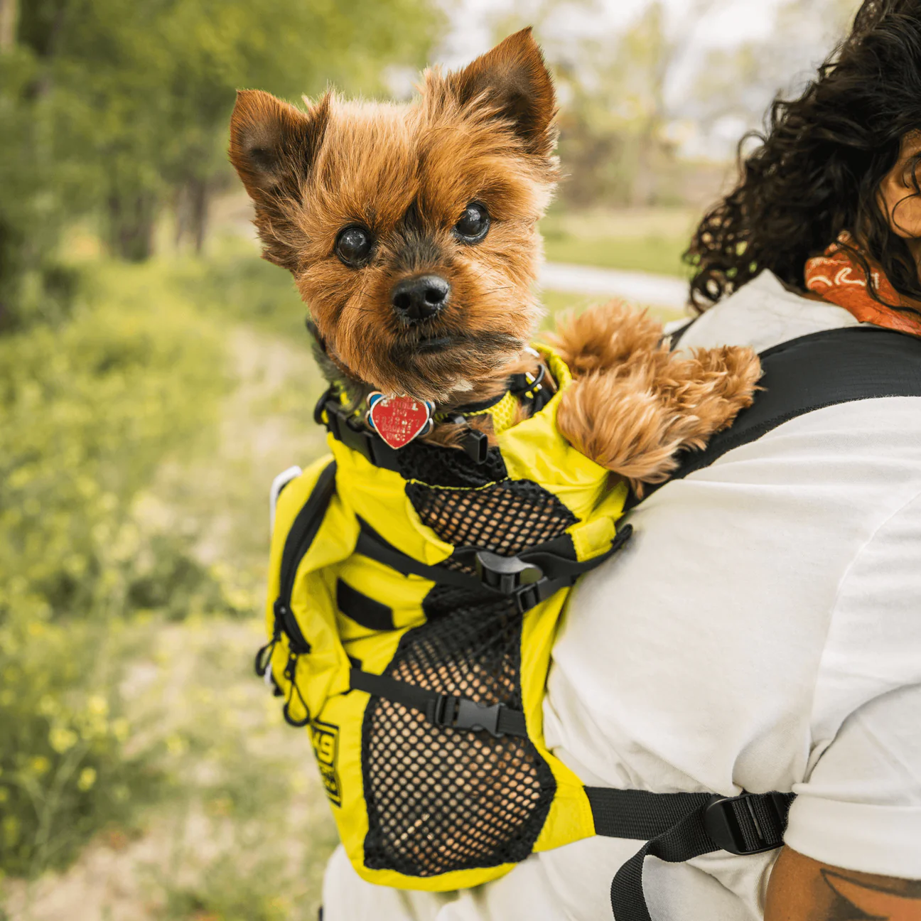 Arnés para caminar y mochila de almacenamiento (K9 - hasta 13.6 kg)