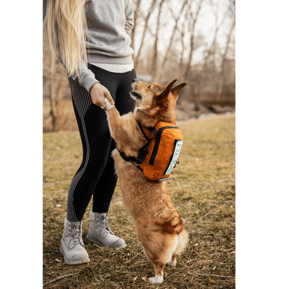 Arnés para caminar y mochila de almacenamiento (K9 - hasta 13.6 kg)