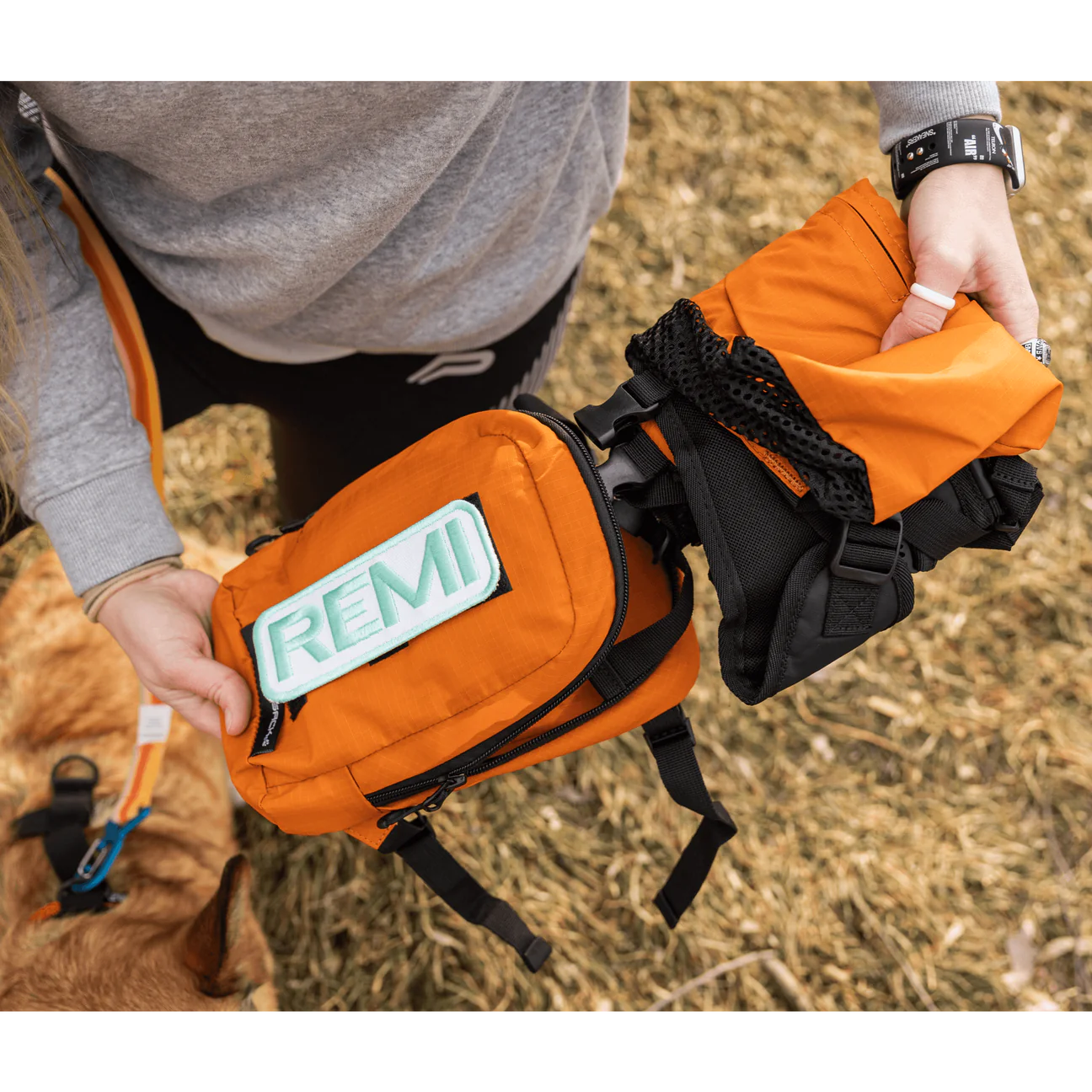 Arnés para caminar y mochila de almacenamiento (K9 - hasta 13.6 kg)