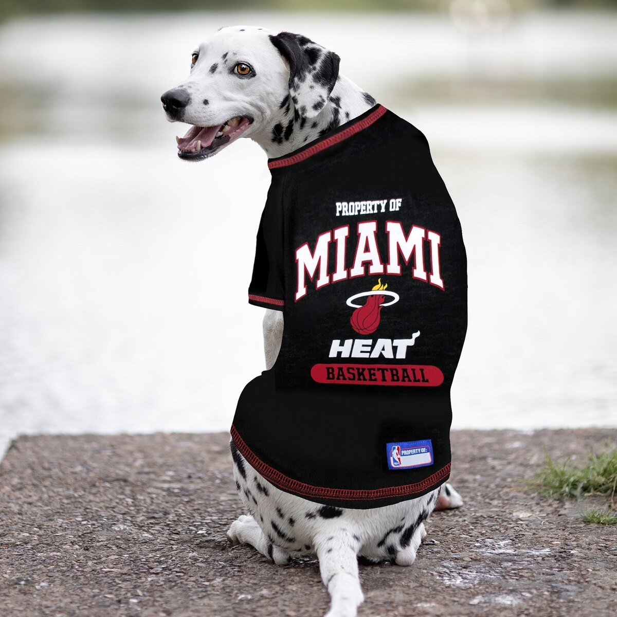 Miami Heat Dog T-Shirt