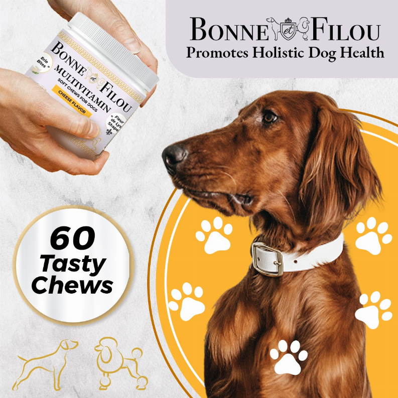 Masticables blandos multivitamínicos para perros 12 en 1 (queso brie) Bonne et Filou