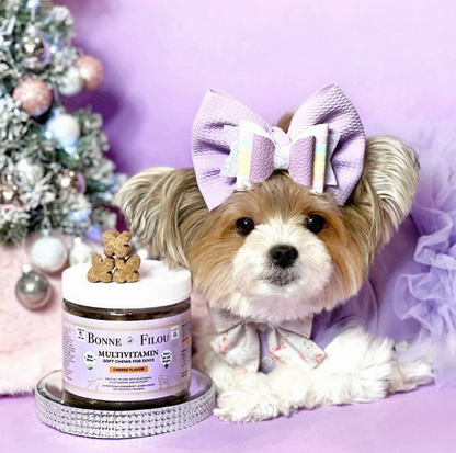 Masticables blandos multivitamínicos para perros 12 en 1 (queso brie) Bonne et Filou