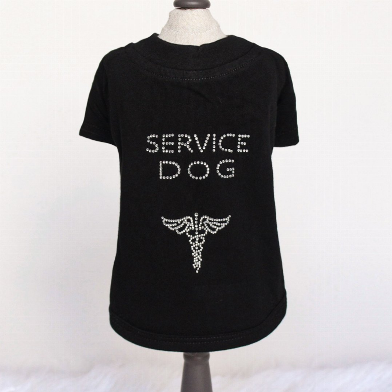 Recogida de perros de servicio