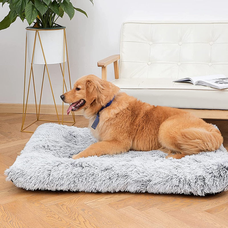 Cama ortopédica calmante lavable para perros