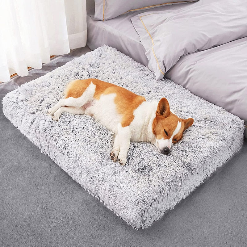 Cama ortopédica calmante lavable para perros