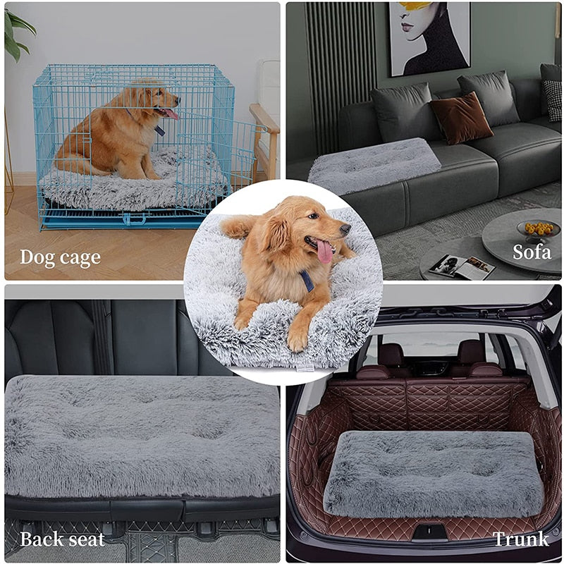 Cama ortopédica calmante lavable para perros